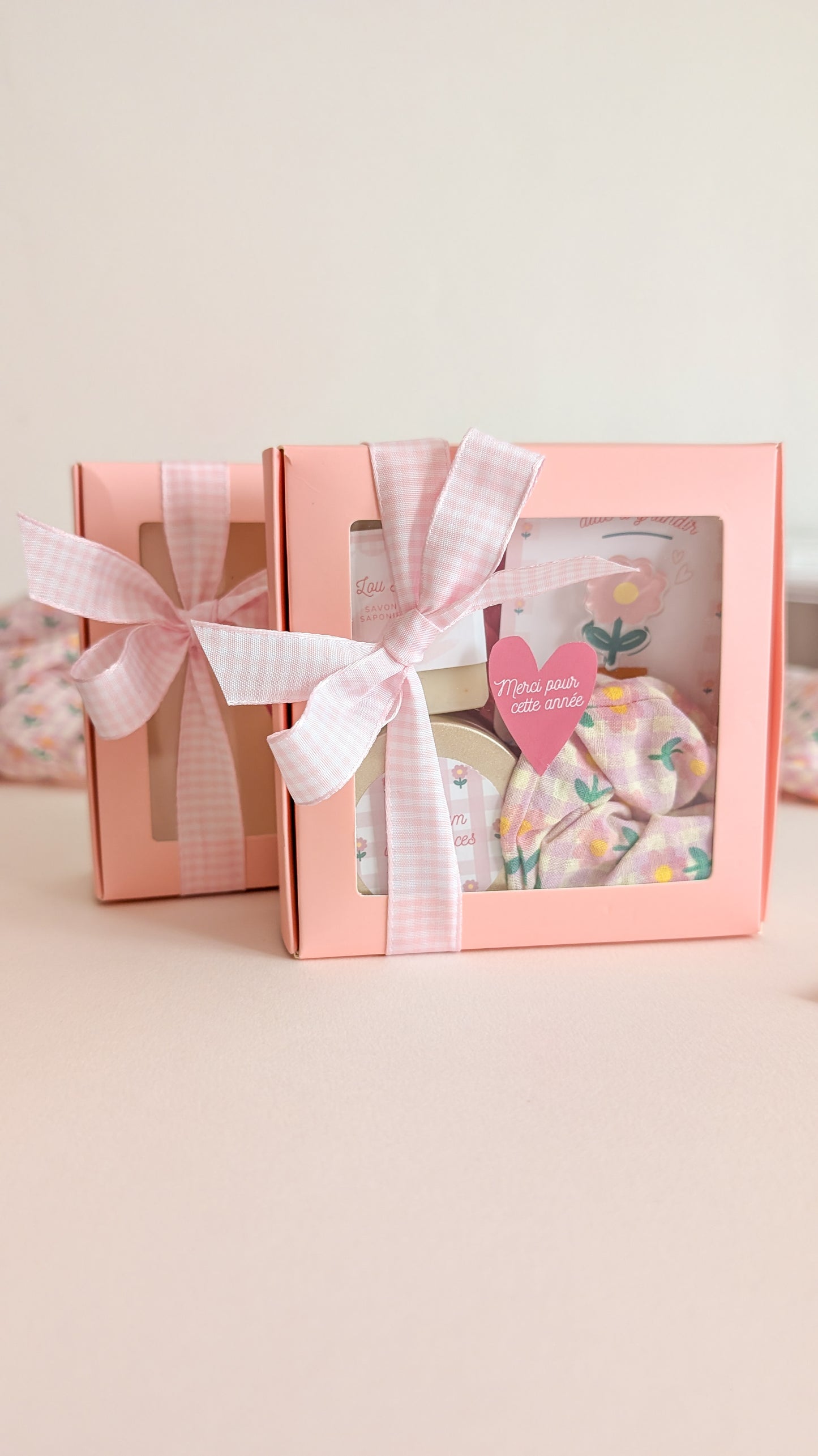 Mini Box Maîtresse, Nounou, Atsem